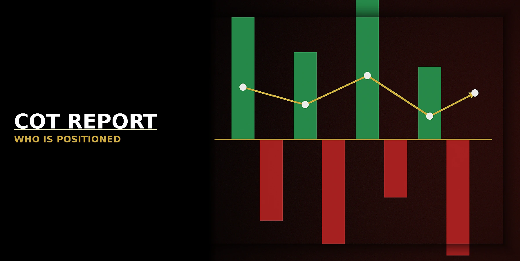 How to Read a Commitment of Traders (COT) Report
